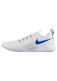 Basket Nike Zoom Hyperace 2 Femme 0286-104