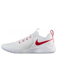 Basket Nike Zoom Hyperace 2 Femme 0286-106