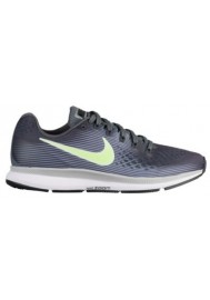 Basket Nike Air Zoom Pegasus 34 Femme 0560-002