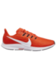 Baskets Nike Air Zoom Pegasus 36 Hommes V1773-800