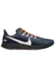 Chaussures Nike Air Zoom Pegasus 36 NFL Hommes I1933-400