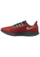 Chaussures Nike Air Zoom Pegasus 36 NFL Hommes I1924-600