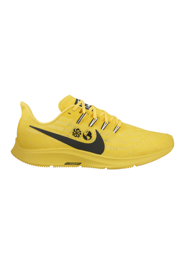 Chaussures Nike Air Zoom Pegasus 36 Hommes I1723-700