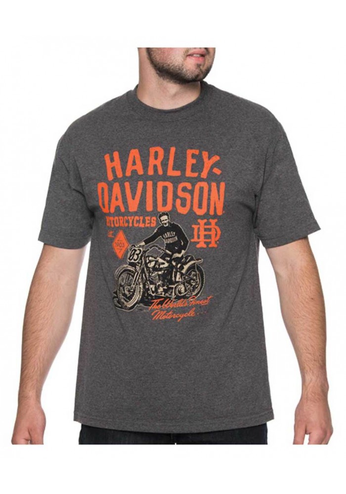 Harley-Davidson Hommes Vintage Bright Lights manches courtes T-Shirt Charcoal Gray 30297427