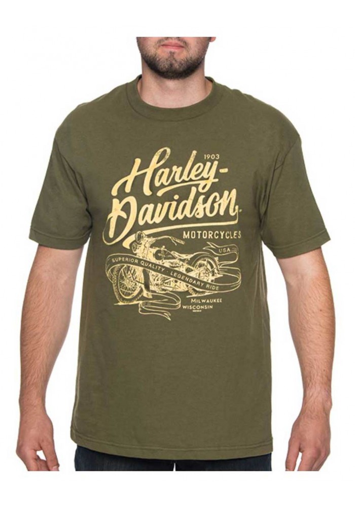 Harley-Davidson Hommes Distressed Translate col rond manches courtes T-Shirt Green 30297433