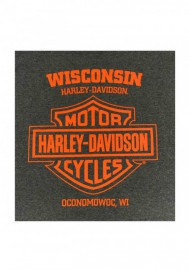 Harley-Davidson Hommes Way Down B&S Poly-Blend manches courtes T-Shirt Charcoal 30292305